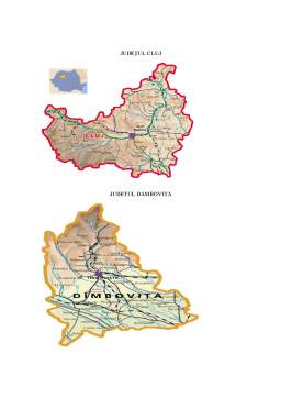 Proiect - Determinarea decalajelor între Județele Cluj și Dâmbovița