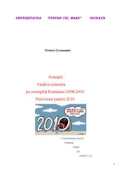 Proiect - Șomajul - analiză concretă pe exemplul României 2008-2009 - previziuni pentru 2010