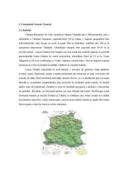 Proiect - Sisteme teritoriale - potențialul turistic al Județului Teleorman