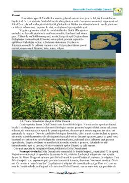 Proiect - Rezervația biosferei Delta Dunării