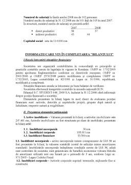 Proiect - Raport de audit privind situațiile financiare pe anul 2008 la SC Student 648 2009 SA București