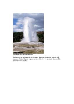 Referat - Parcul Național Yellowstone
