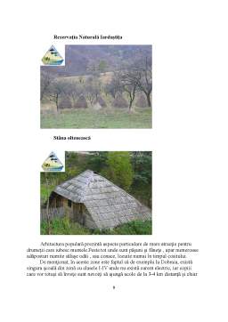 Seminar - Ecoturismul în România studiu de caz - Parcul Național Domogled Valea Cernei