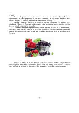 Proiect - Cercetări privind Siguranța Alimentară a Fructelor de Pădure Conservate