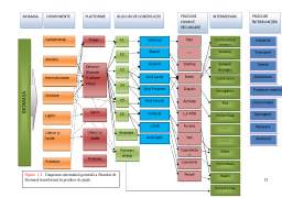Proiect - Tehnologii Integrate de Producerea Energie - Conceptul de Biorafinarie