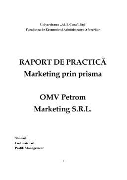 Proiect - Raport de practică - OMV Petrom