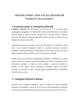 Proiect - Sisteme Expert pentru Management