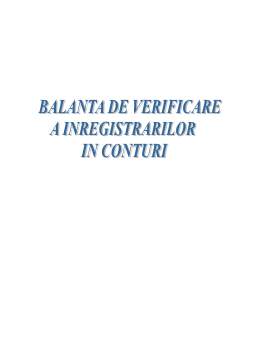 Proiect - Balanță de verificare a înregistrărilor în conturi