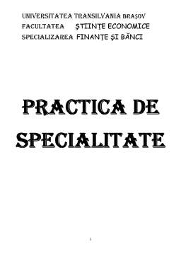 Referat - Practică de specialitate - SC Schaeffler România SRL