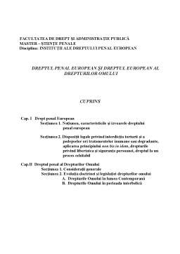 Proiect - Dreptul Penal European și Dreptul European al Drepturilor Omului
