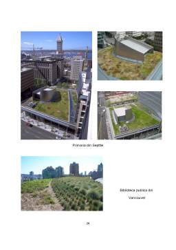 Referat - Green Roofs - acoperișuri verzi