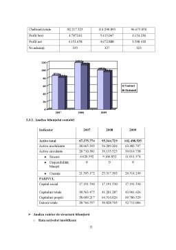 Proiect - Analiza eficienței investitiilor. Studiu de caz - SC Cotnari SA