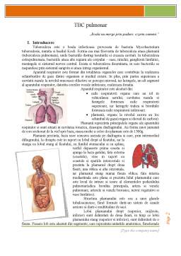Referat - TBC Pulmonar