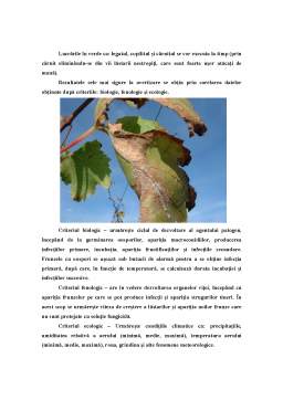 Referat - Tehnologii integrate în viticultură