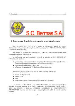 Proiect - Studiu de Fezabilitate - SC Bermas SA