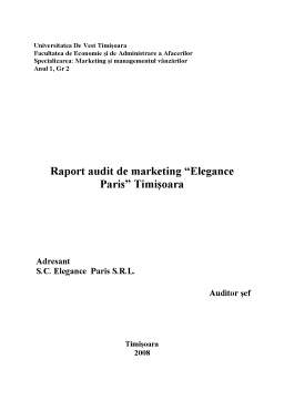 Referat - Auditul Organizării Activității de Marketing