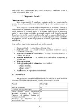 Proiect - Analiza Diagnostic a Firmei SC NCH România SRL