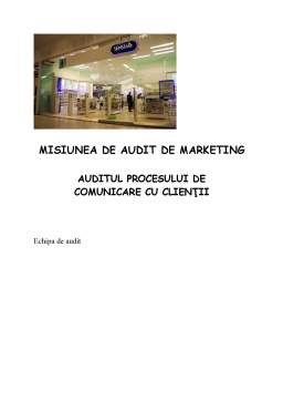 Proiect - Audit de Marketing Sensiblu