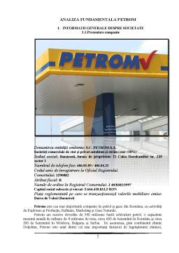 Proiect - Analiza fundamentală a societății Petrom 2010