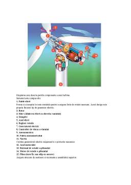 Proiect - Managementul investițiilor - montarea turbinei eoliene