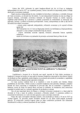 Proiect - Economia României între 1877-1914