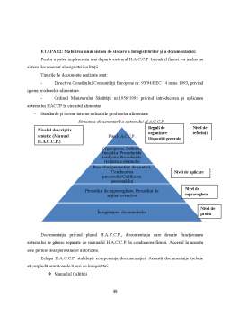 Referat - Implementarea Sistemul HACCP în Tehnologia de Fabricare a Franzelei Albe