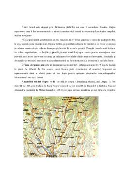 Proiect - Ghid Turistic al Traseului Pitesti-Campulung-Bran-Fagaras-Balea-Curtea de Arges-Pitesti