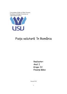 Proiect - Piața Valutară în România