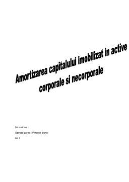 Proiect - Amortizarea Capitalului Imobilizat în Active Corporale și Necorporale