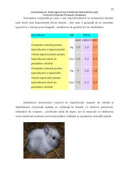 Proiect - Plan managerial - microfermă iepuri SC Bunnyfarm SRL