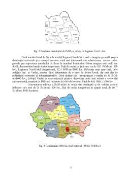 Referat - Analiza Distribuției Teritoriale a IMM la Nivel Regional în România
