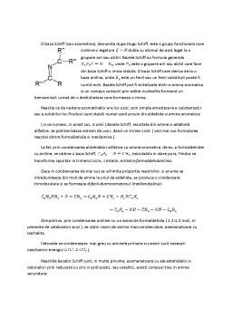 Referat - Condensarea compușilor carbonilici cu compuși cu azot