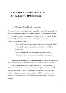 Proiect - Contabilitate managerială - SC Piera SRL