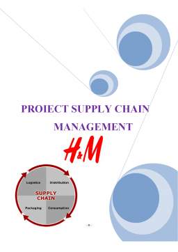 Proiect - Supply Chain Management H&M