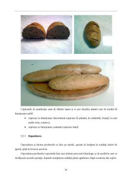Proiect - Pâinea hipoglucidică