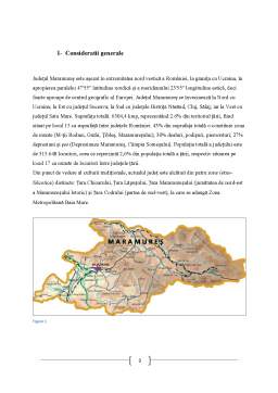 Referat - Organizarea și valorificarea spațiului turistic în Județul Maramureș