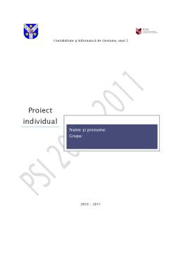 Proiect - Contabilitate și Informatică de Gestiune