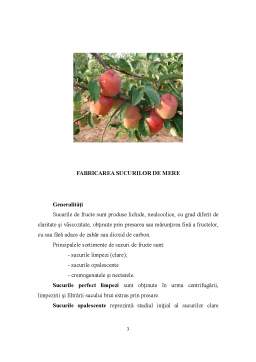 Proiect - Proiectarea unei secții pentru obținerea sucului de mere concentrat