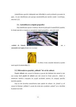 Proiect - Autentificarea Speciei și Originii Geografice a Peștelui