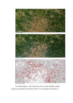 Referat - Defrișările din Padurile Amazoniene