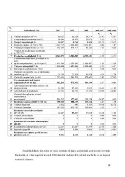 Disertație - Analiza economico-financiară a unei intreprinderi. caz de studiu - Sursal SA