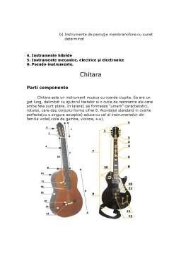 Proiect - Instrumente muzicale - chitara