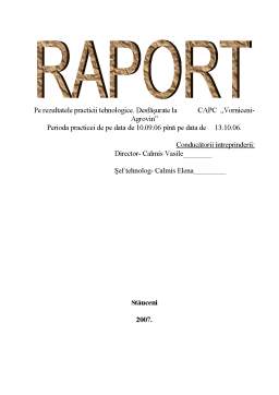 Proiect - Raport de practică la Vorniceni - Agrovin