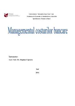Proiect - Managementul Costurilor Bancare