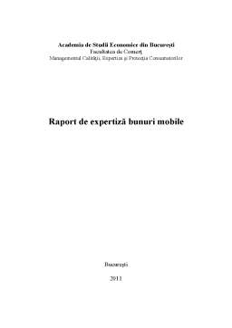 Proiect - Raport de Expertiză Bunuri Mobile