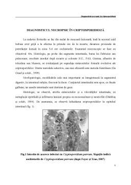 Referat - Diagnosticul Necropsic în Criptosporidioză