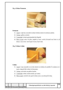 Proiect - Aperitive din brânză și cașcaval