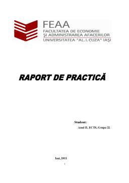 Proiect - Raport de practică SC Stoll Fulger SRL