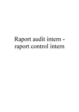 Referat - Raportul dintre Auditul Intern și Controlul Intern
