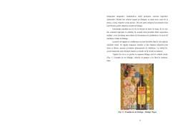 Disertație - Vinul licoros de la istoric până la tehnicile de elaborare ale acestuia